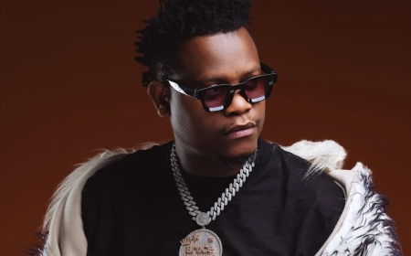 Bruce Melodie biography,family & net worth