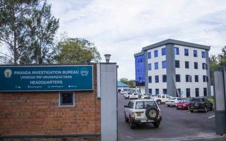 Founder of ’Vibaba’ arrested over alleged fraud and forgery