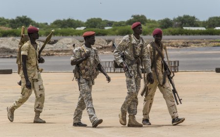 RSF claims full control of Karab al-Toum in northern Sudan
