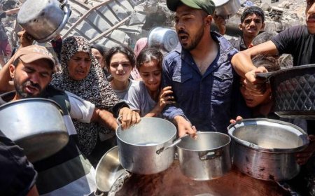 At least 51 Palestinians killed while waiting for aid trucks in Gaza, health officials say