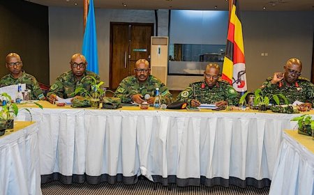 Rwanda, Uganda military commanders review border security