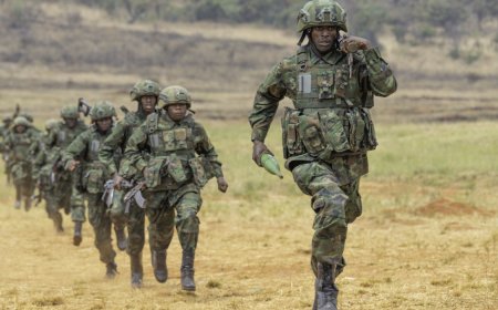 Newly trained soldiers welcomed into RDF family