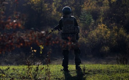 Russian region bans Musk’s Starlink