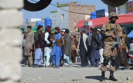 Pakistani soldiers killed in suicide attack