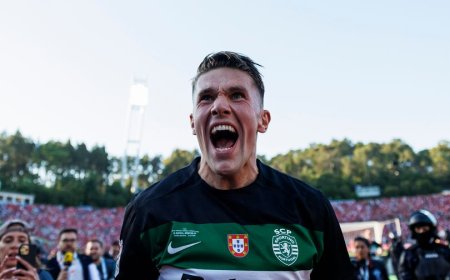 Arsenal receive green light for Viktor Gyokeres transfer after '£17m bid' for striker