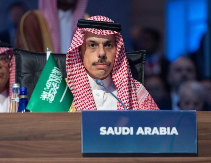 Saudi FM reaffirms support for Palestine, condemns Israeli strikes on Iran at OIC meeting in Istanbul