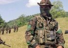 $15,000 Per Month: Colombian Mercenaries arrive in DRCongo to fight M23