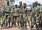 Deconstructing the so-called recycling of FDLR