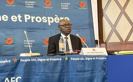 AFC/M23 reveals cause of setback in Doha talks with DRC