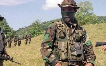 $15,000 Per Month: Colombian Mercenaries arrive in DRCongo to fight M23