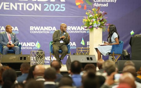 Rwandan diaspora urged to counter misinformation on DR Congo conflict