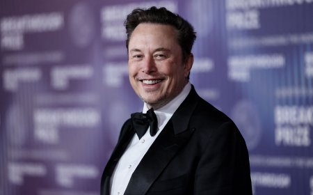 Musk announces creation of new party