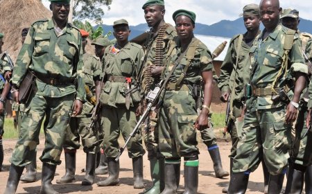 Deconstructing the so-called recycling of FDLR