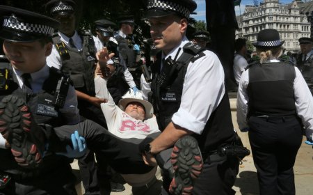 More than 70  arrested after UK brands Palestine Action a ‘terror group’