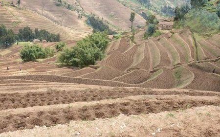 How a foreigner can own land in Rwanda