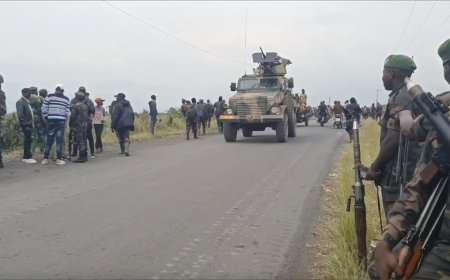 Analysis: DRC conflict persists as regional and Global powers pursue interests