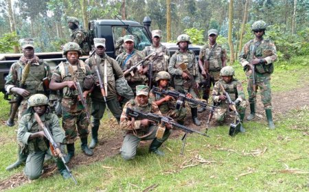 AFC/M23 repels Wazalendo attack on  Goma