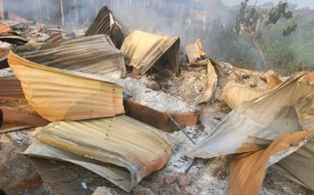 DR Congo: ADF murders 47 civilians in a church