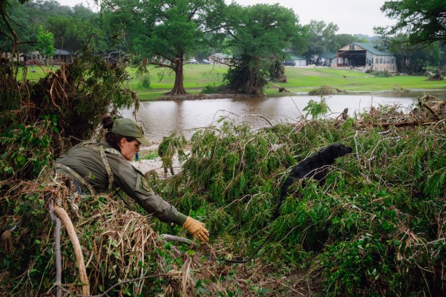 Texas floods:More than 80 dead as search for survivors intensifies