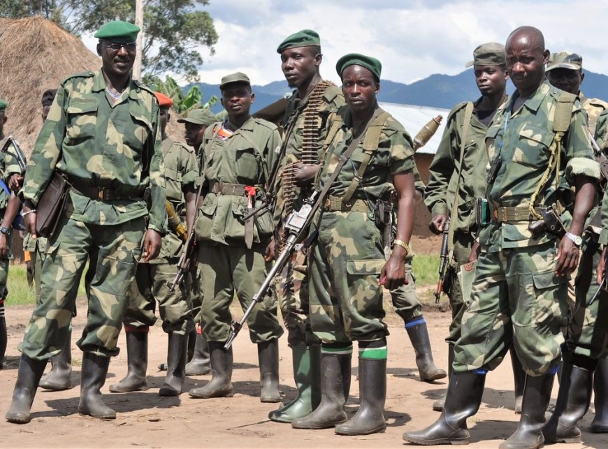 FDLR strength grows to 10,000 fighters, Says UN report