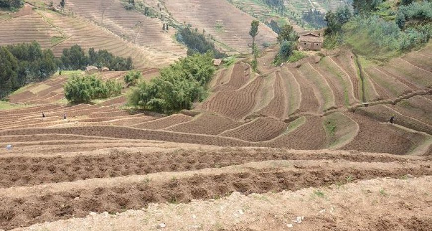 How a foreigner can own land in Rwanda