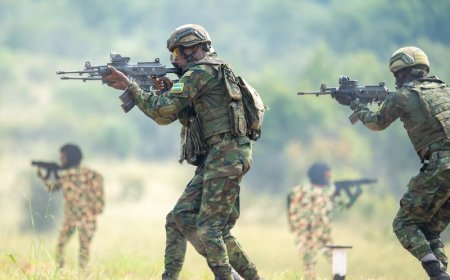 Rwanda’s military RDF expands role in closing security gaps across Africa