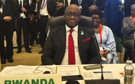 Nduhungirehe in Japan for key meet on African development