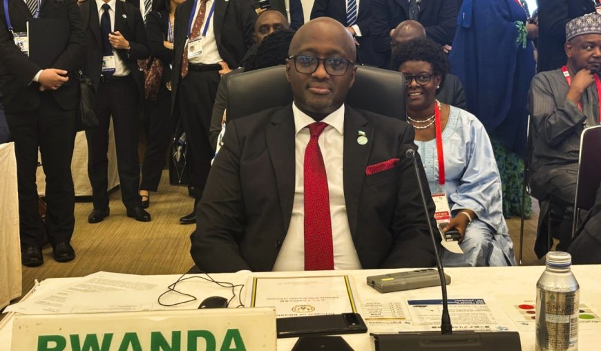 Nduhungirehe in Japan for key meet on African development