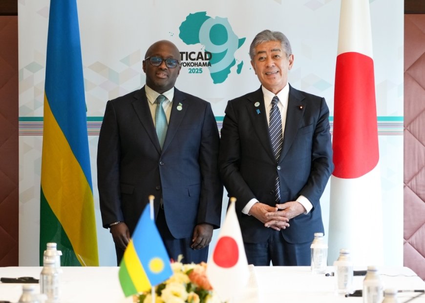 Nduhungirehe, Iwaya Discuss Bilateral Cooperation and Great Lakes Peace