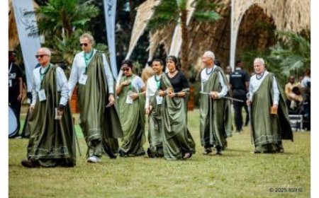 From Mathieu Flamini to Yemi Alade: Who Named the Baby Gorillas?