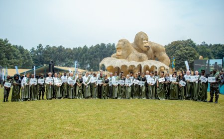 Kwita Izina: The stories behind 40 baby gorillas’ names and their star namers