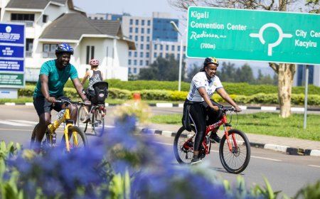 700 cyclists register for 'social ride' ahead of UCI World Championship