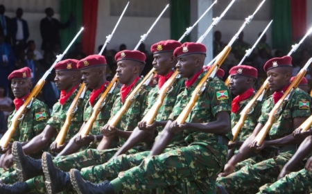 Crisis in Burundi Army as 14 Top Officers, Including 9 Colonels, Abandon Service