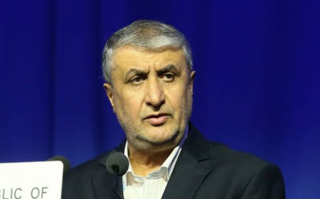 Iran to follow own nuclear path – top energy official