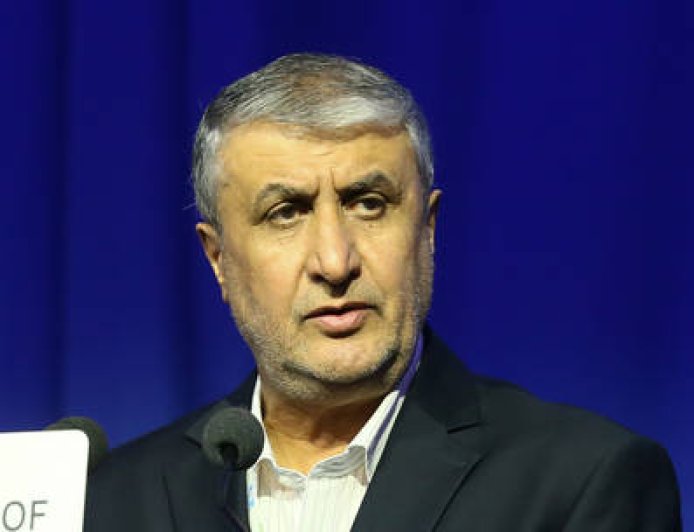 Iran to follow own nuclear path – top energy official