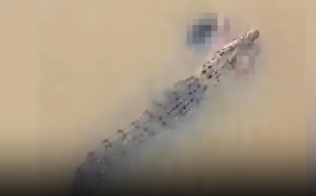 CROC HORROR Chilling moment crocodile swims through river with woman between its teeth after beast snatched her off the bank