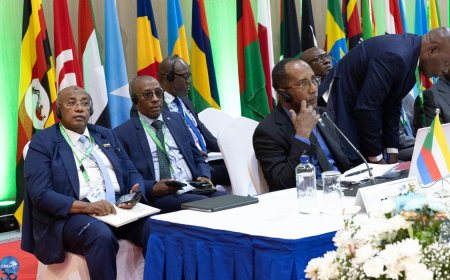 COMESA launches regional digital payments system