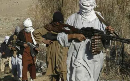 Afghanistan says it has killed 58 Pakistani soldiers in overnight border operations