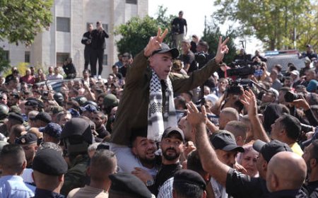 More than 150 freed Palestinian prisoners deported to Egypt
