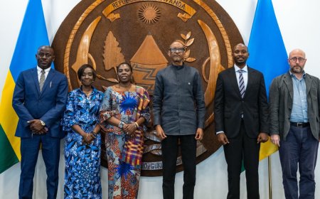 Kagame, AU official discuss health systems in Africa