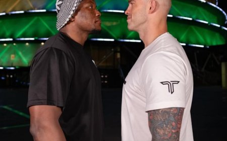 What you need to know about PFL Africa