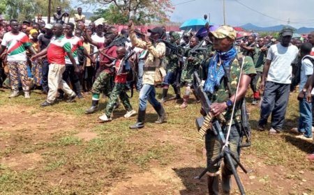 Burundi Deploys Over 400 Imbonerakure to Reinforce Rwanda Rebel Group FLN