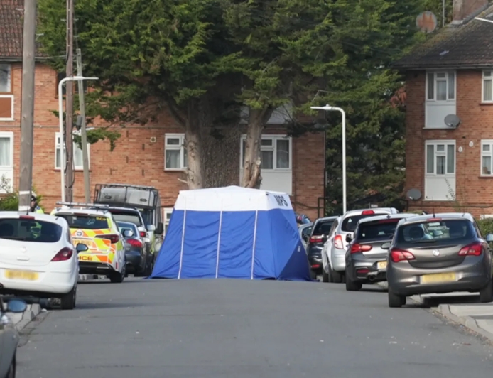 Afghan man held after dog walker dies in stabbing