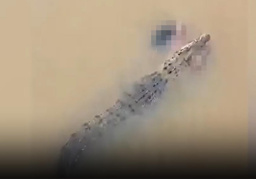CROC HORROR Chilling moment crocodile swims through river with woman between its teeth after beast snatched her off the bank