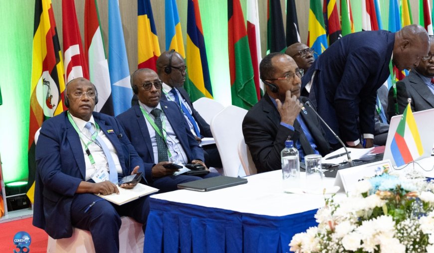 COMESA launches regional digital payments system