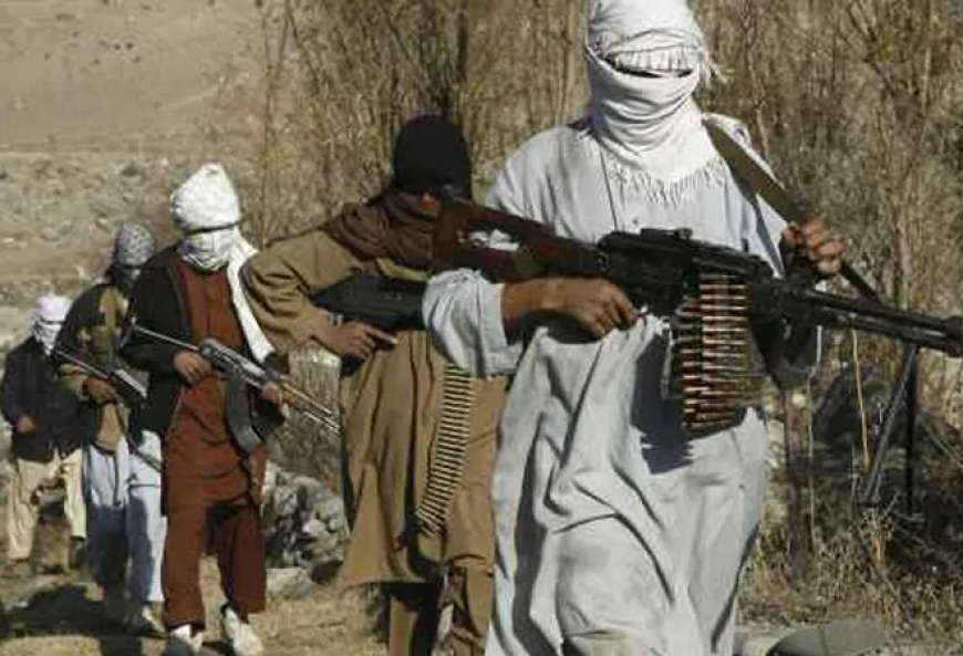 Afghanistan says it has killed 58 Pakistani soldiers in overnight border operations