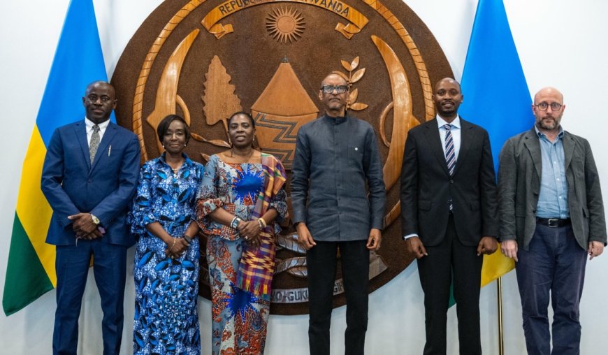 Kagame, AU official discuss health systems in Africa