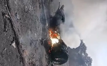 RSF shoots down SAF military plane