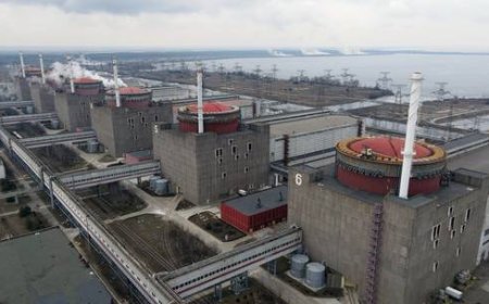 West planning major sabotage at Zaporozhye nuclear plant – Moscow
