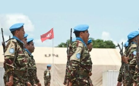 Security Council renews mandate of UN peacekeeping mission in CAR